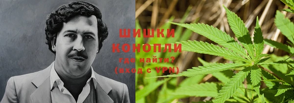 дживик Зеленокумск