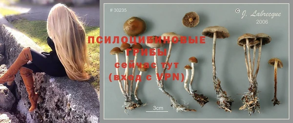каннабис Алексин