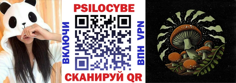 Галлюциногенные грибы Psilocybe omg зеркало Зверево что такое